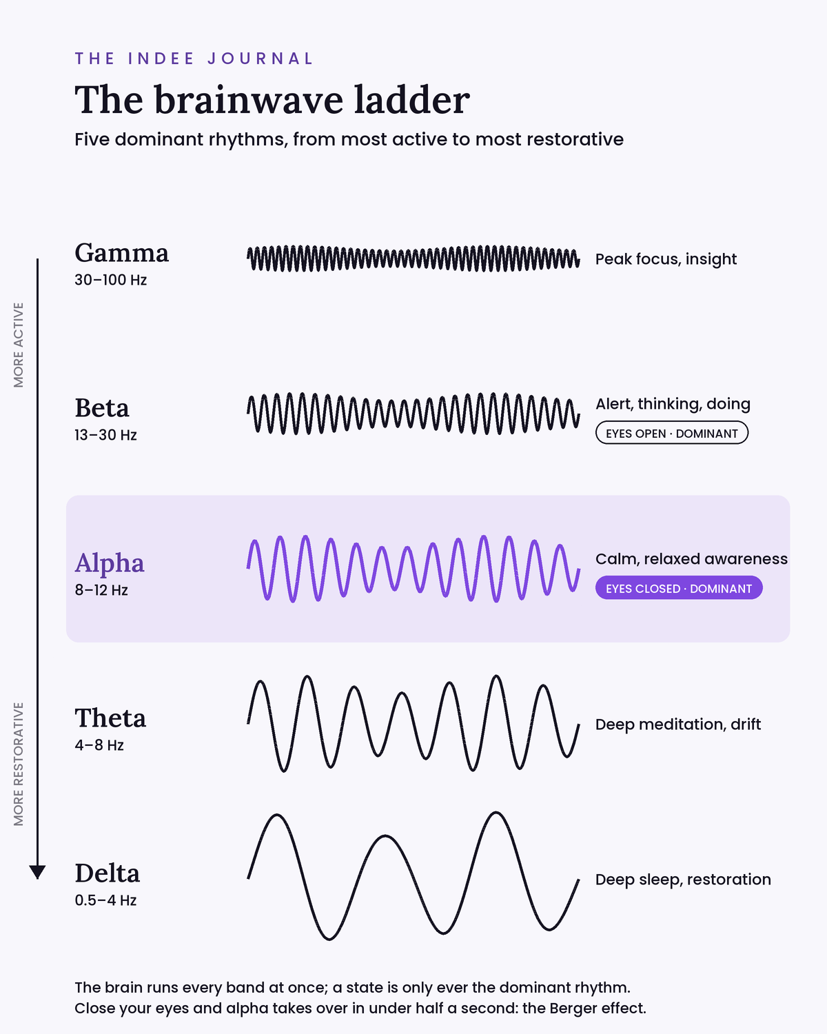 The brainwave ladder: five dominant rhythms from most active to most restorative